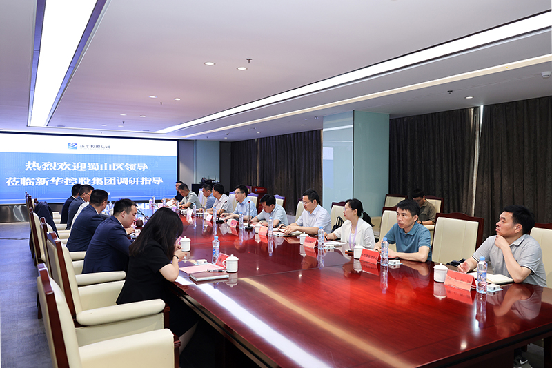 合肥市蜀山區(qū)委副書記、區(qū)長楊森一行深入新華控股集團(tuán)調(diào)研指導(dǎo)